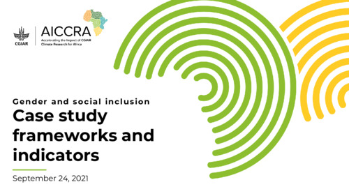 Gender and Social Inclusion: Case study frameworks and indicators