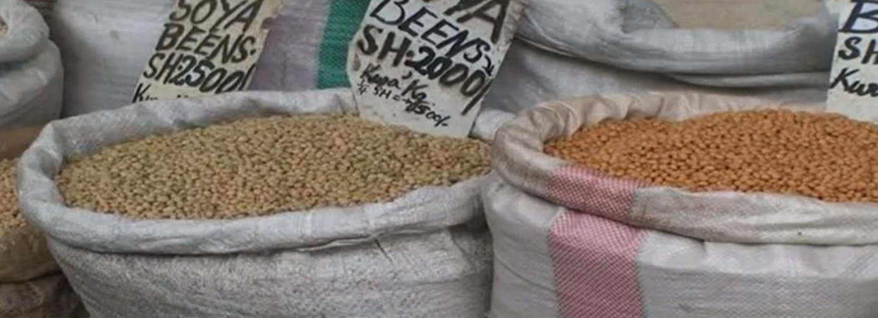 Succeed with seeds