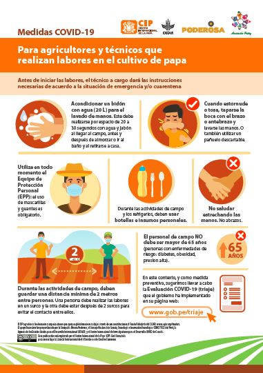 Medidas COVID-19 para agricultores y tecnicos que realizan labores en el cultivo de papa