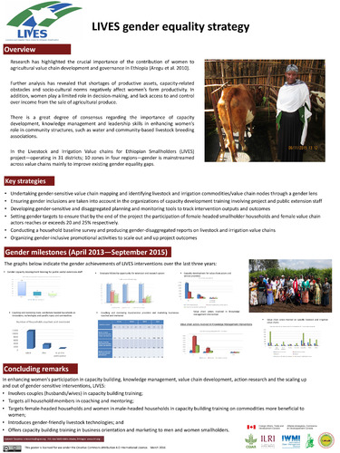 LIVES gender equality strategy