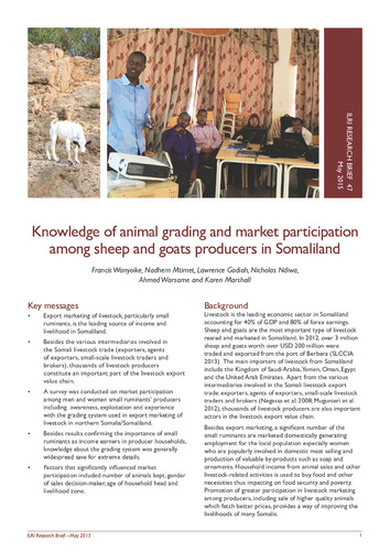 Knowledge of animal grading and market participation among sheep and goats producers in Somaliland