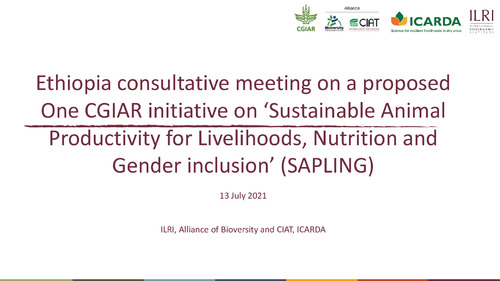 Notes from an Ethiopia virtual stakeholder consultation on a proposed One CGIAR initiative on Sustainable Animal Productivity for Livelihoods, Nutrition and Gender inclusion, 13 July 2021