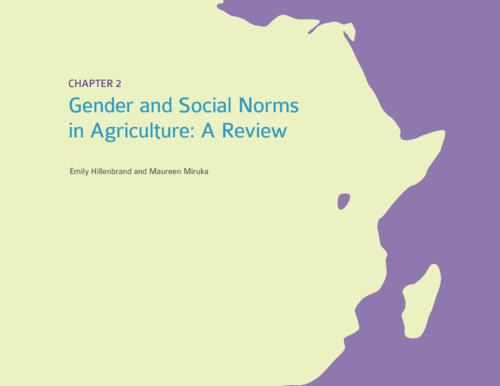Gender and social norms in Agriculture: A review | CGIAR Gender ...