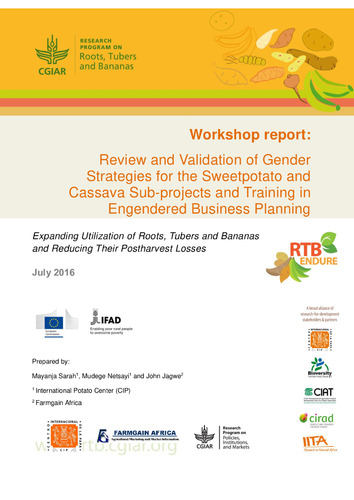 Review and validation of gender strategies for the sweetpotato and cassava sub-projects and training in engendered business planning.