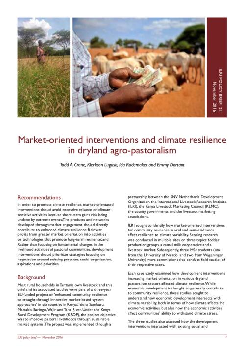 Market-oriented interventions and climate resilience in dryland agro ...