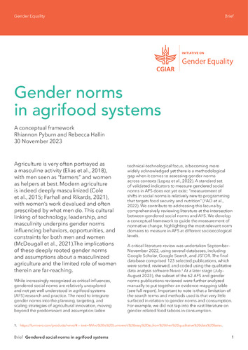 Gender norms in agrifood systems: A conceptual framework | CGIAR Gender ...