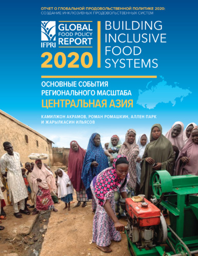 Regional developments [in 2020 Global Food Policy Report]