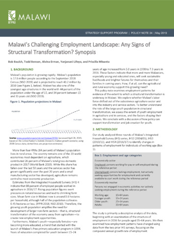 Malawi’s challenging employment landscape: Any signs of structural transformation? Synopsis