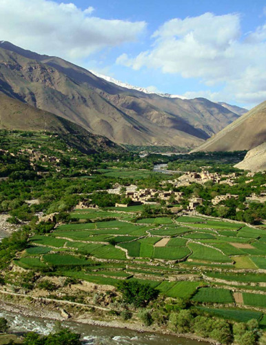 Regional developments [In 2016 Global Food Policy Report]