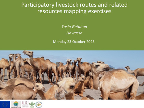Participatory livestock routes and related resources mapping exercises