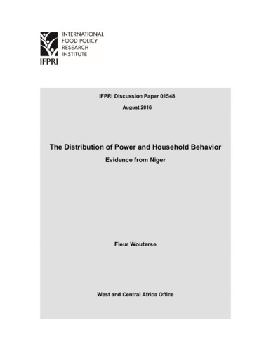 The distribution of power and household behavior: Evidence from Niger