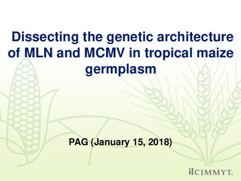 Dissecting the genetic architecture of MLN and MCMV in tropical maize germplasm