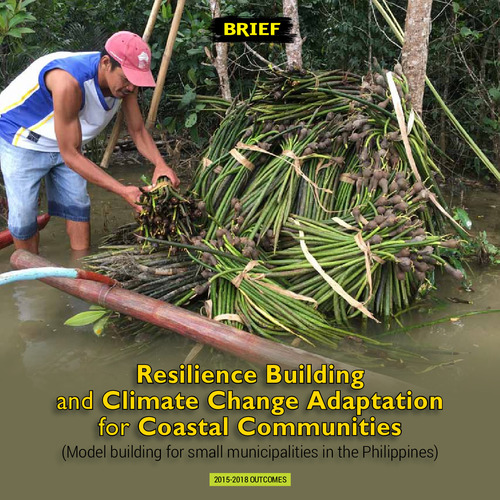 Resilience Building and Climate Change Adaptation for Coastal ...