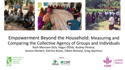 Empowerment Beyond the Household: Measuring and Comparing the Collective Agency of Groups and Individuals