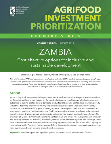 Zambia: Cost effective options for inclusive and sustainable development