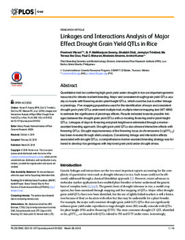 Linkages and interactions analysis of major effect drought grain yield QTLs in rice