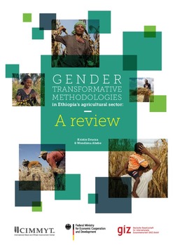 Gender transformative methodologies in Ethiopia's agricultural sector: a review