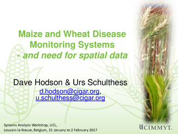 Maize and wheat disease monitoring systems - and need for spatial data