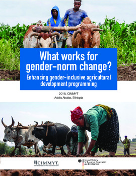 What works for gender-norm change?: enhancing gender-inclusive agricultural development programming