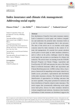 Index insurance and climate risk management: addressing social equity