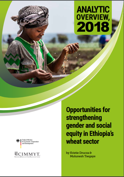 Analytic overview, 2018: opportunities for strengthening gender and social equity in Ethiopia’s wheat sector