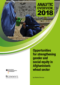 Analytic overview, 2018: opportunities for strengthening gender and social equity in Afghanistan’s wheat sector