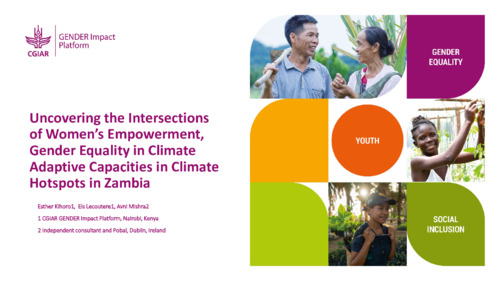 Uncovering the Intersections of Women’s Empowerment, Gender Equality in Climate Adaptive Capacities in Climate Hotspots in Zambia
