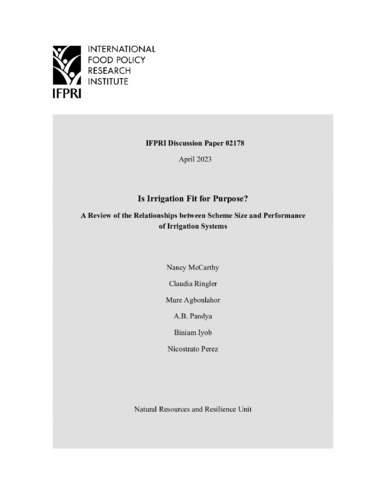 Is irrigation fit for purpose? A review of the relationships between scheme size and performance of irrigation systems