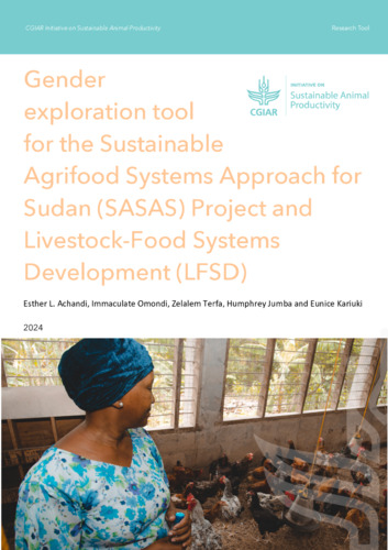 Gender exploration tool for the Sustainable Agrifood Systems Approach for Sudan (SASAS) Project and Livestock-Food Systems Development (LFSD)