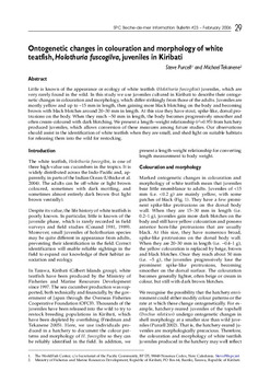 Ontogenetic changes in colouration and morphology of white teatfish, Holothuria fuscogilva, juveniles at Kiribati