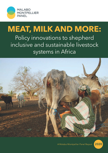 Meat, milk and more: Policy innovations to shepherd inclusive and sustainable livestock systems in Africa