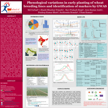 Phenological variations in early planting of wheat breeding lines and identification of markers by GWAS