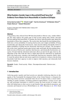 What explains gender gaps in household food security? Evidence from maize farm households in southern Ethiopia