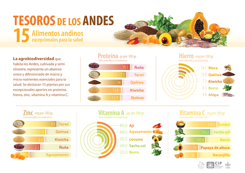 Tesoros de los Andes: 15 alimentos andinos excepcionales para la salud