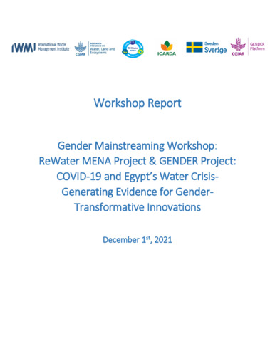 Gender Mainstreaming Workshop: ReWater MENA Project & GENDER Project: COVID-19 and Egypt’s Water Crisis - Generating Evidence for Gender-Transformative Innovations