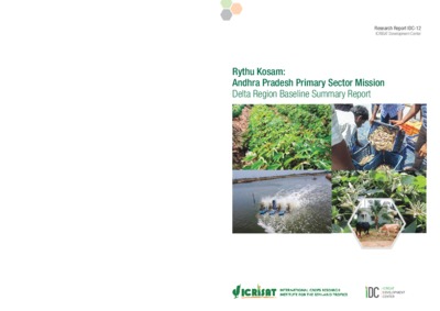 Rythu Kosam: Andhra Pradesh Primary Sector Mission. Delta Region Baseline Summary Report. Research Report IDC-12
