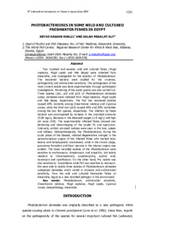 Photobacteriosis in some wild and cultured freshwater fishes in Egypt