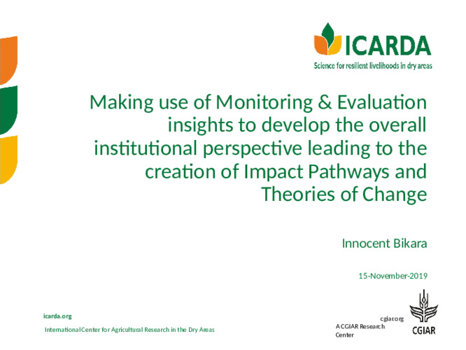 Making use of Monitoring and Evaluation Insights to Develop the Overall Institutional Perspective Leading to the Creation of Impact Pathways and Theories of Changes