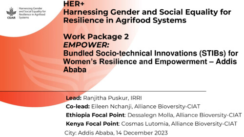 Bundled Socio-technical Innovations (STIBs) for Women’s Resilience and Empowerment- Addis Ababa