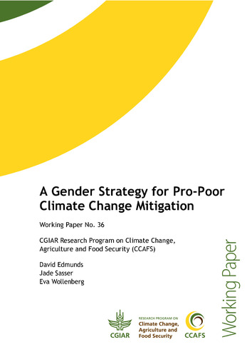 A gender strategy for pro-poor climate change mitigation