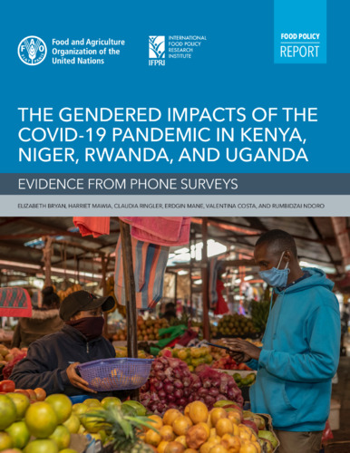 The gendered impacts of the COVID-19 pandemic in Kenya, Niger, Rwanda, and Uganda: Evidence from phone surveys