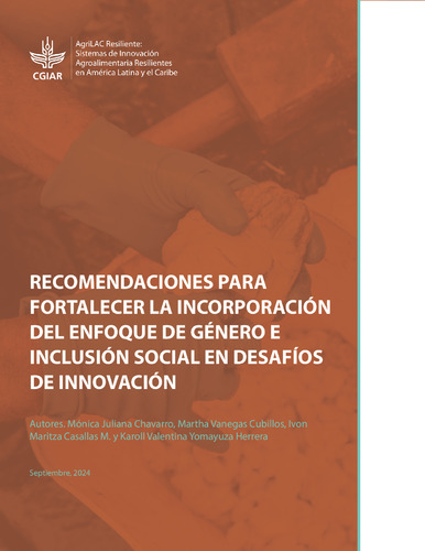 Recomendaciones para fortalecer la incorporación del enfoque de género e inclusión social en desafíos de innovación