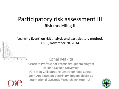 Participatory risk assessment: Risk modelling: II