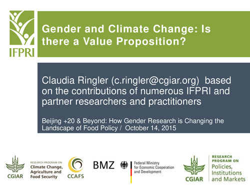 Gender and Climate Change: Is There a Value Proposition?