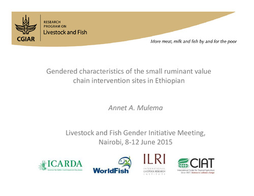 Gendered characteristics of the small ruminant value chain intervention sites in Ethiopian