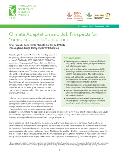 Climate adaptation and job prospects for young people in agriculture