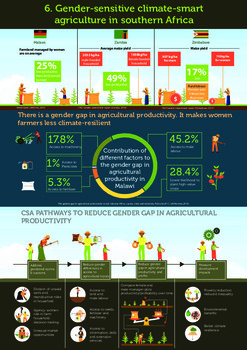 Gender-sensitive climate-smart agriculture in Southern Africa