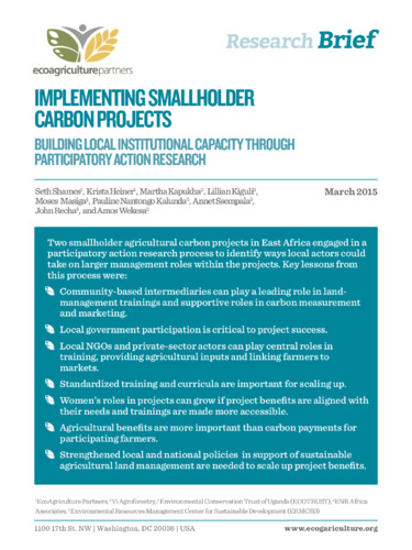 Implementing smallholder carbon projects: building local institutional capacity through participatory action research