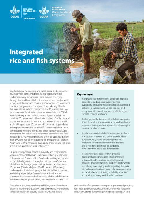 Integrated rice and fish systems