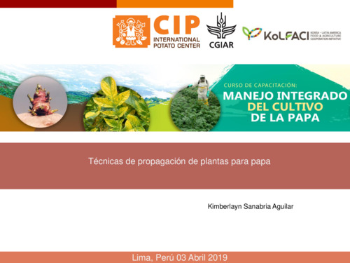 Tecnicas de propagacion de plantas para papa